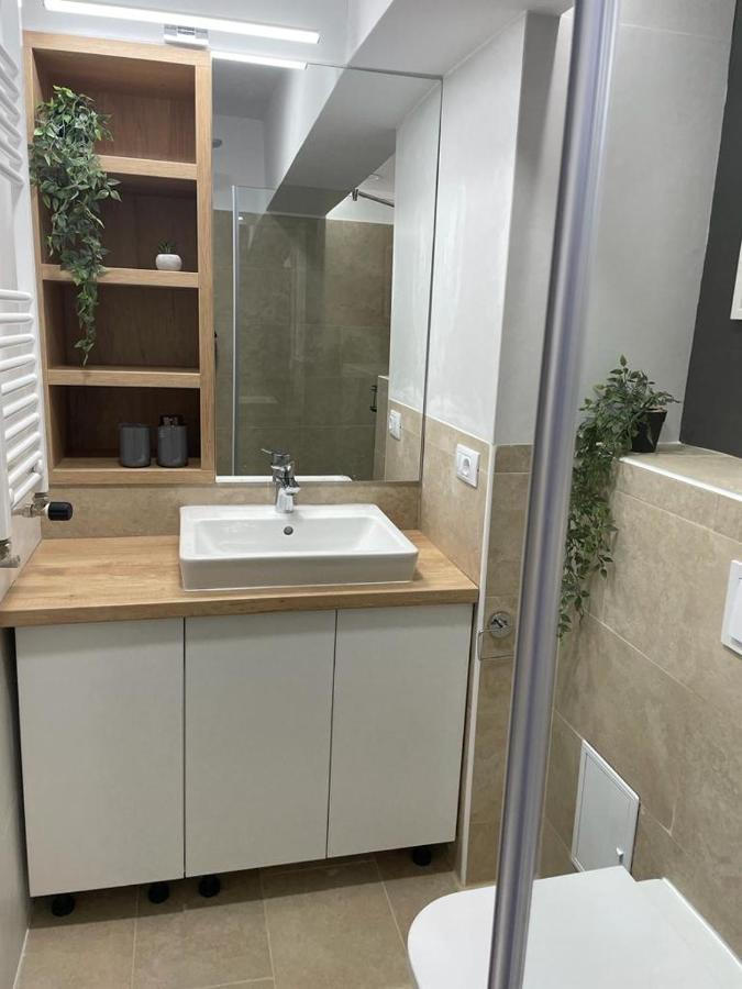Palas Loft 雅西 外观 照片