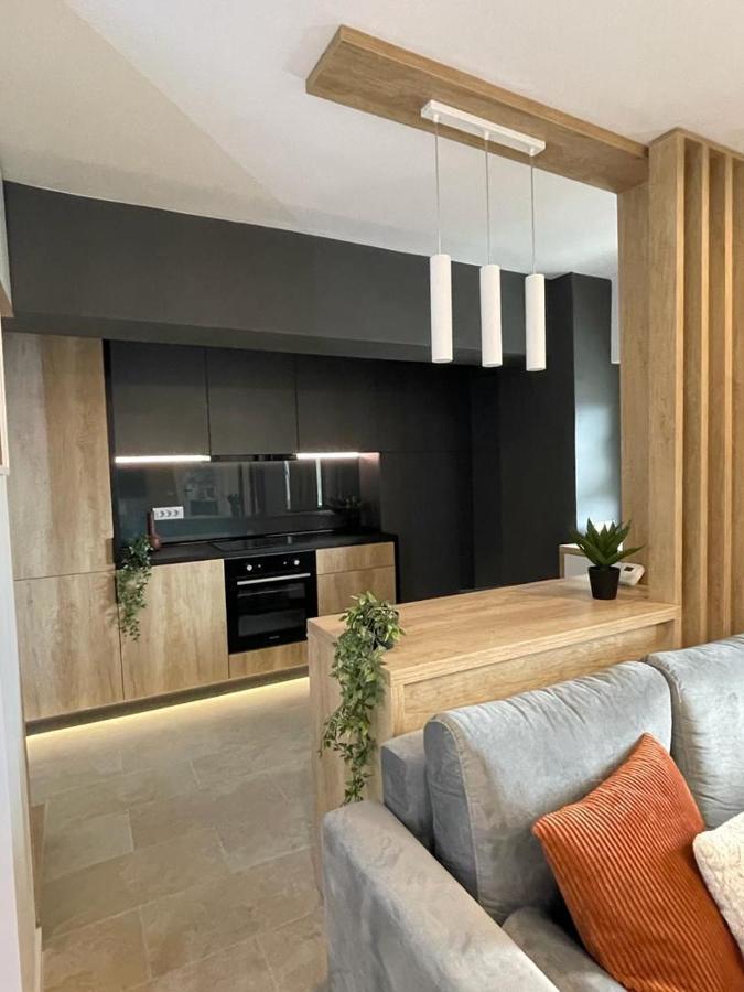 Palas Loft 雅西 外观 照片