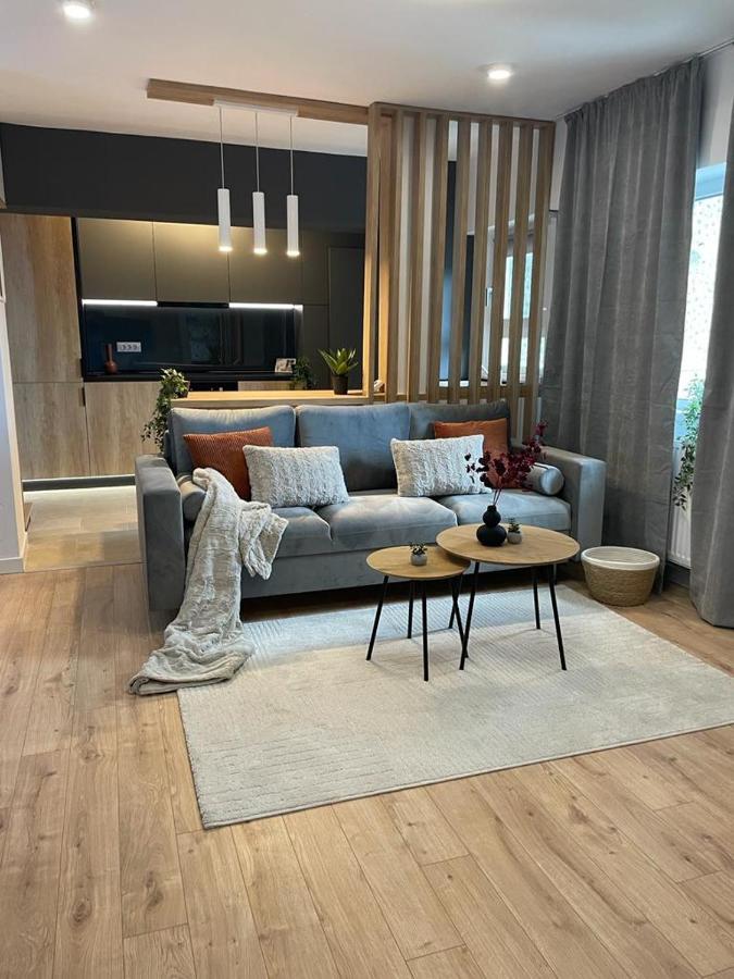 Palas Loft 雅西 外观 照片