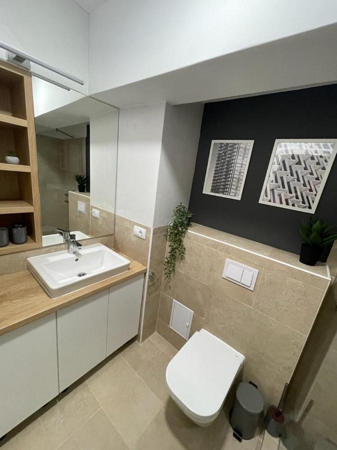 Palas Loft 雅西 外观 照片