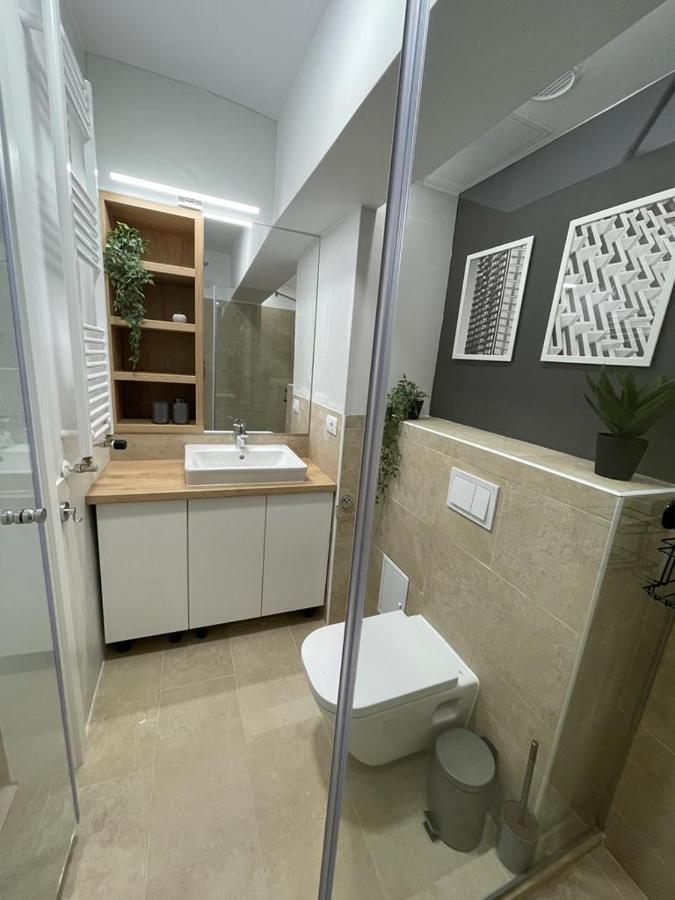 Palas Loft 雅西 外观 照片